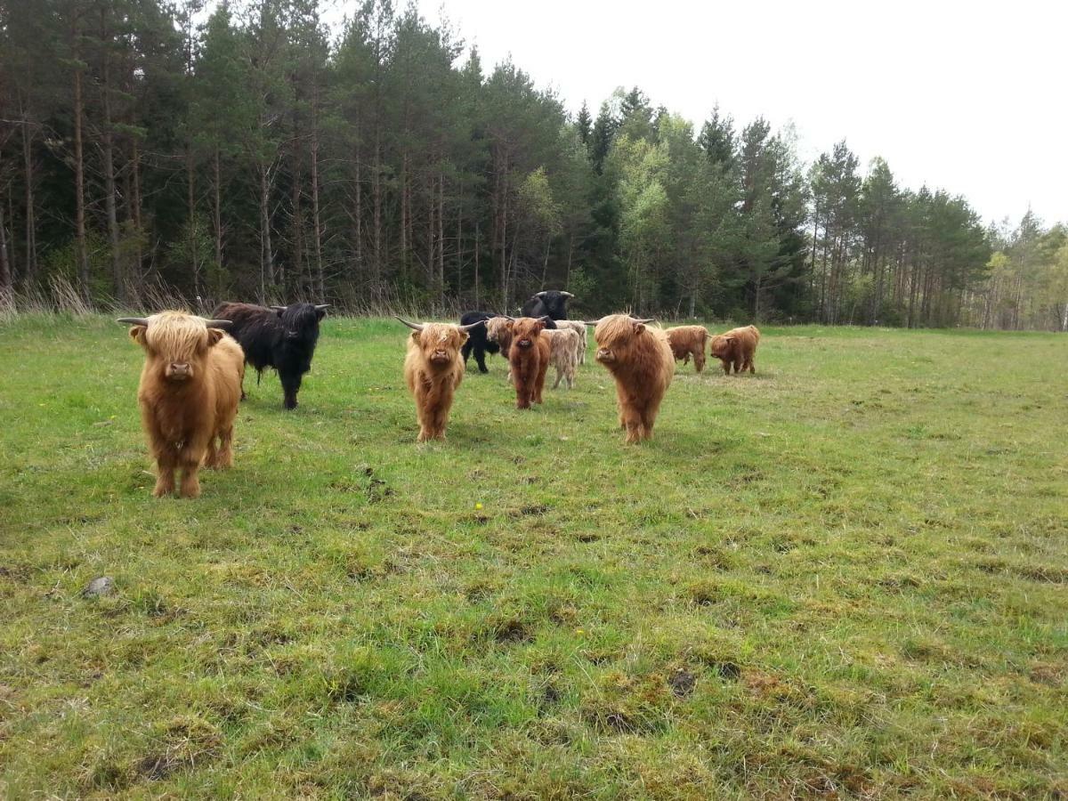 Ranna Villa Farm Kudema Eksteriør bilde