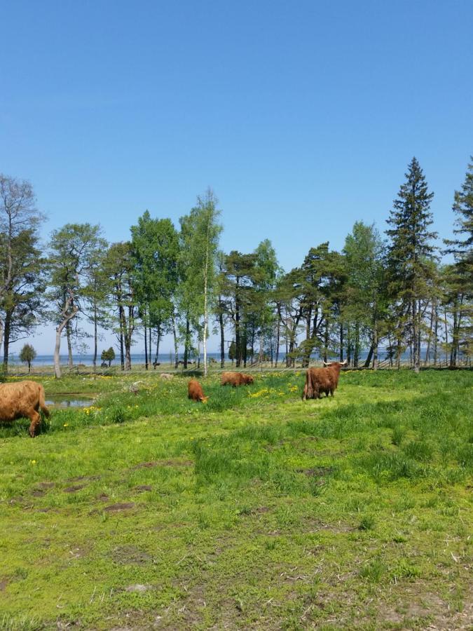 Ranna Villa Farm Kudema Eksteriør bilde