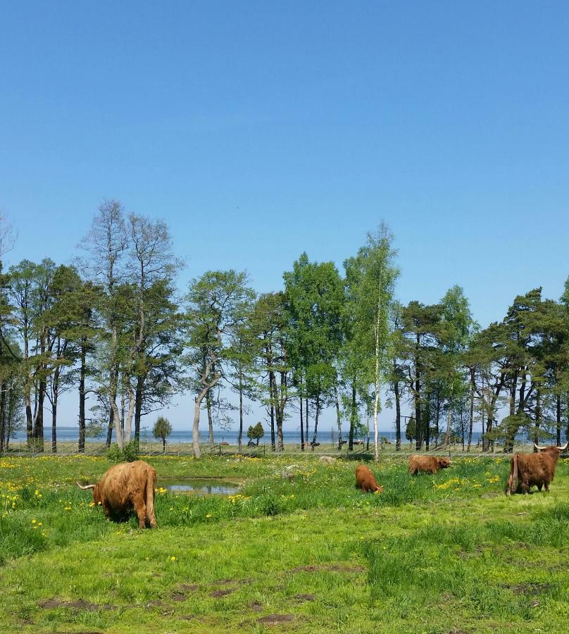 Ranna Villa Farm Kudema Eksteriør bilde